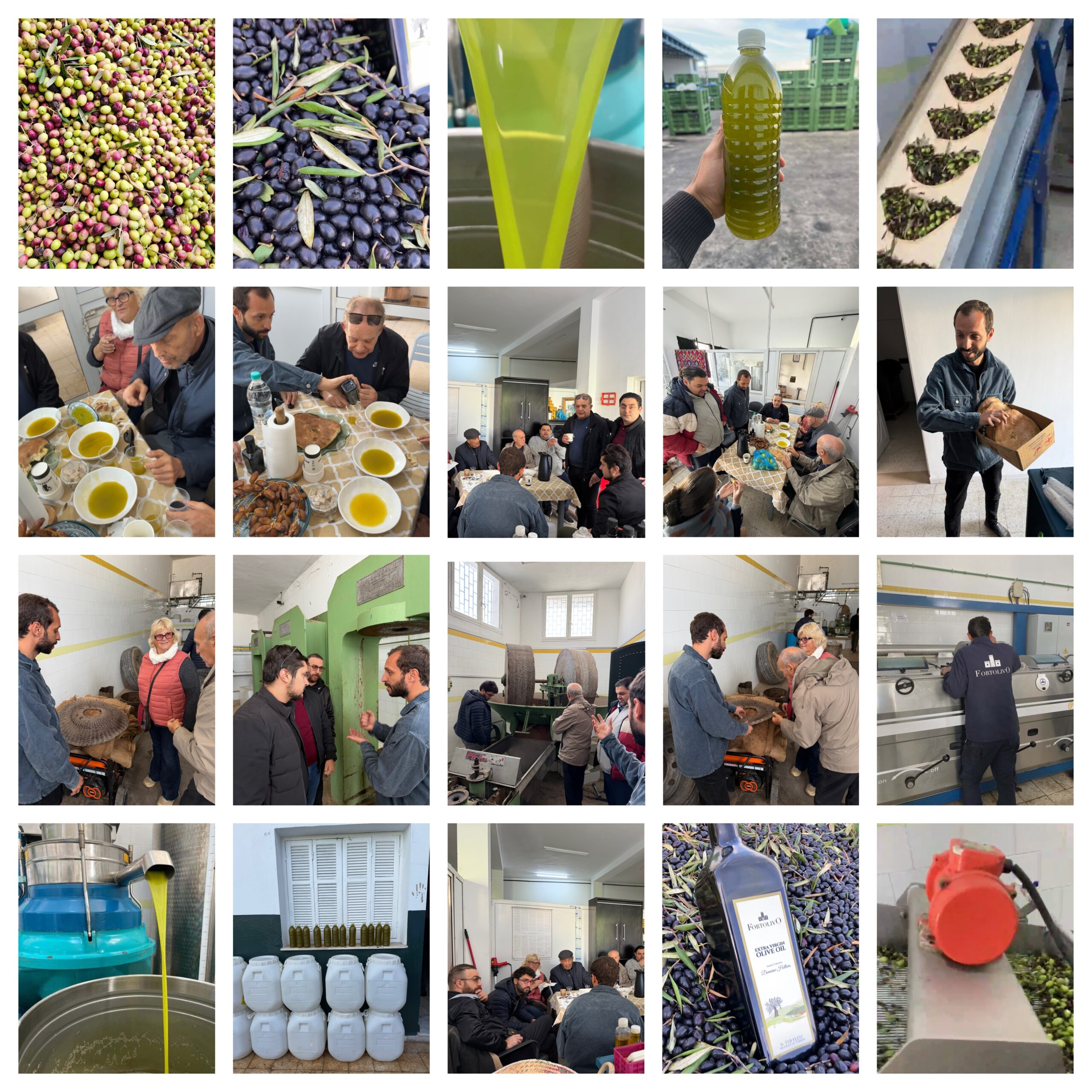 Action culturelle – Initiation à la dégustation de l’huile d’olive, trésor du patrimoine tunisien